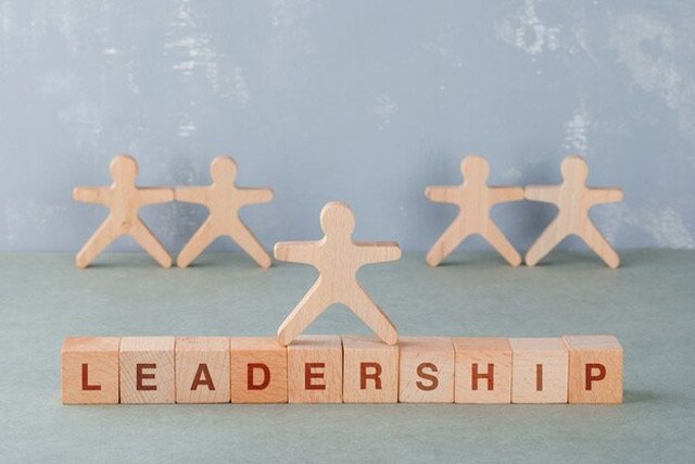 Delegative Leadership Examples in Business